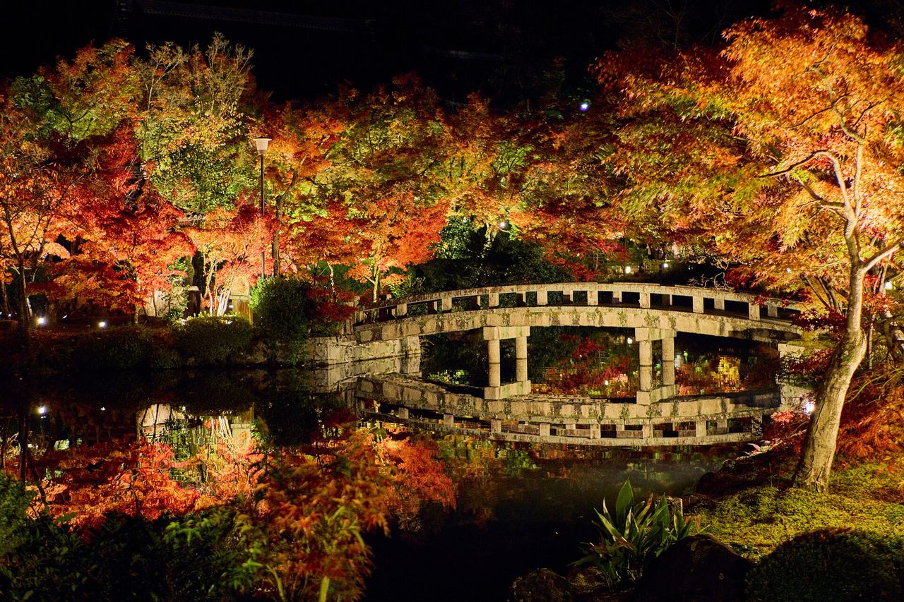 Autumn illumination at Eikando, Kyoto