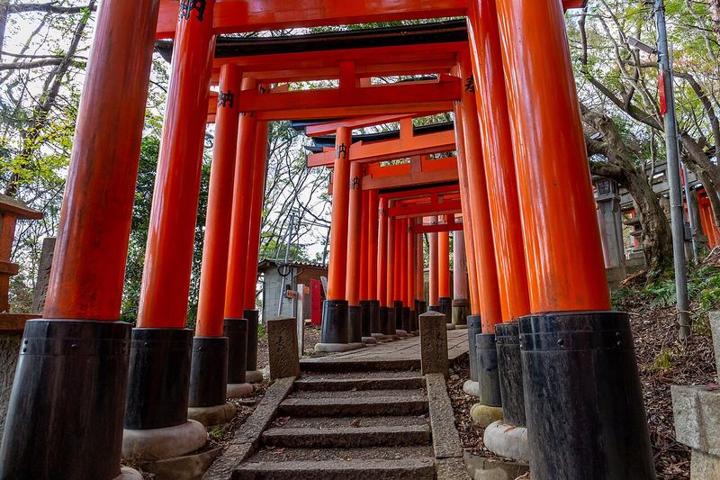 Torii gates at Fushimi Inari, Kyoto