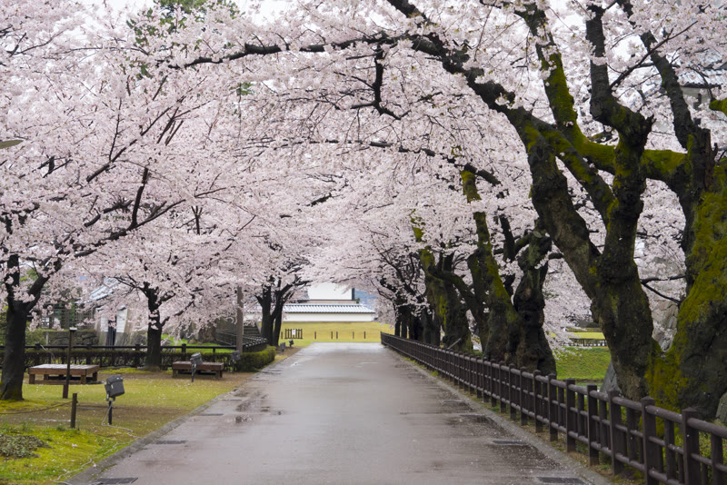 Kanazawa Castle Park