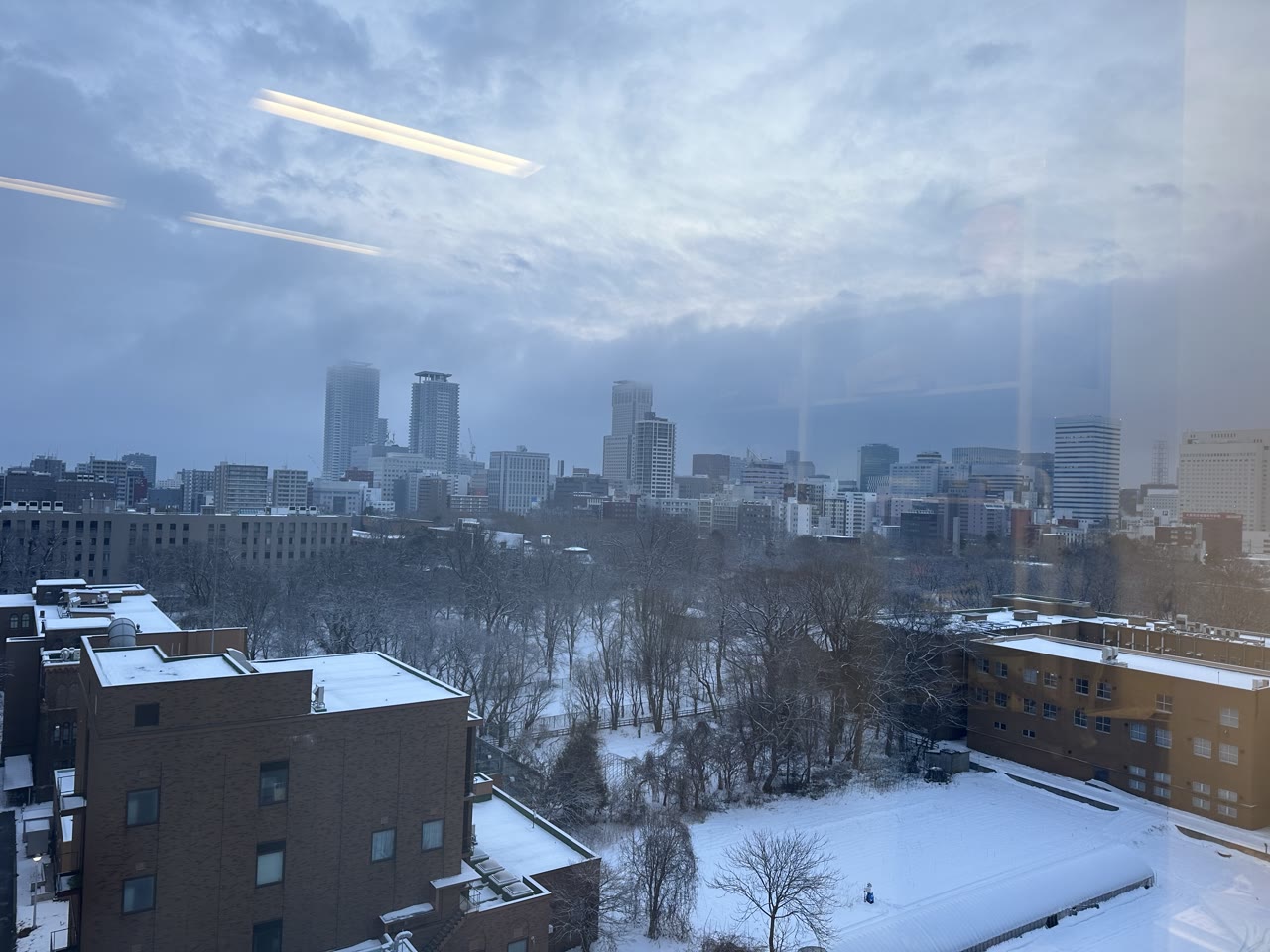 Central Sapporo under snow
